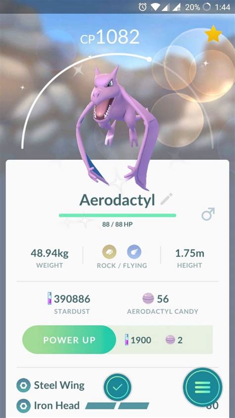 aerodactyl pokémon go|aerodactyl best moves pokemon go.